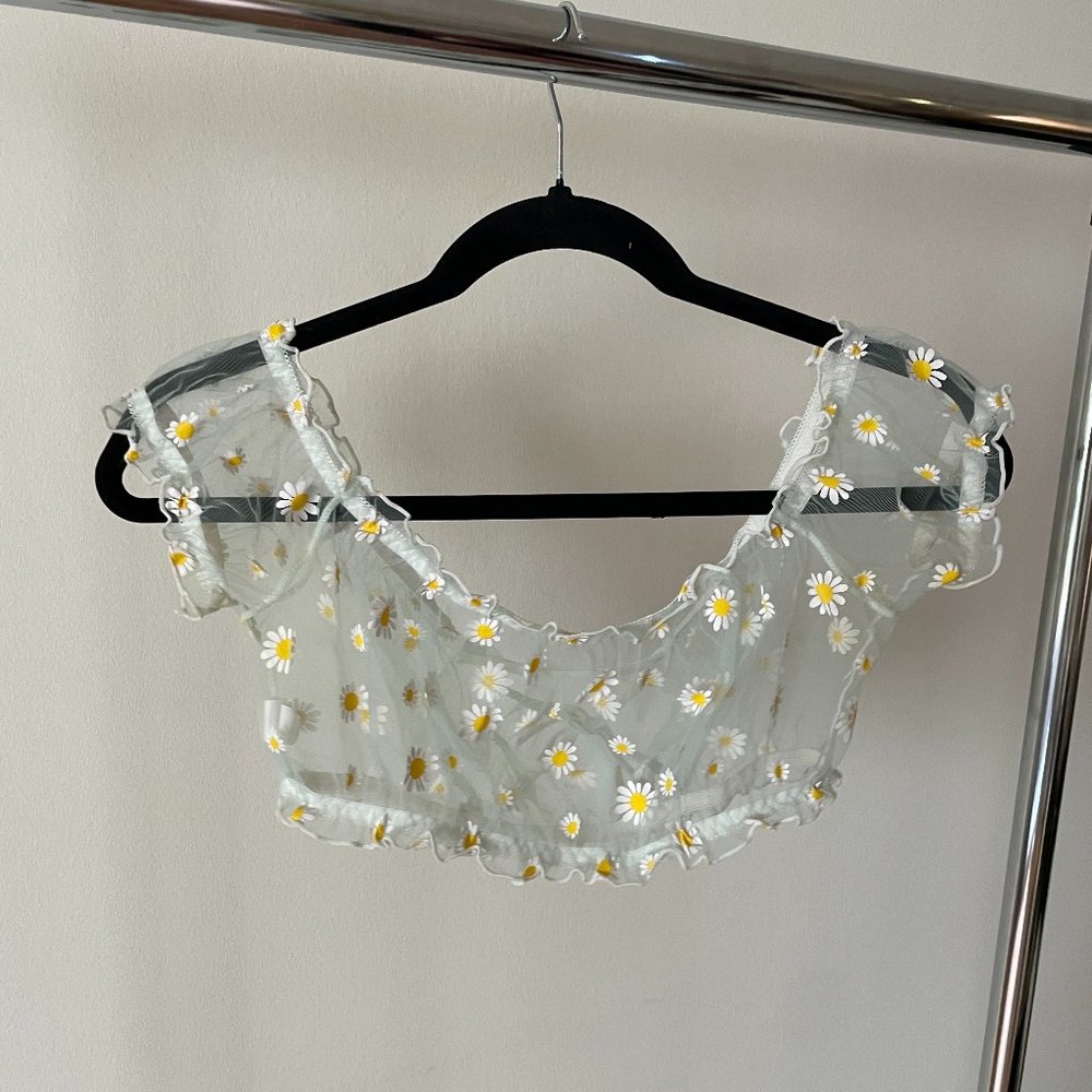Sheer Crop Top